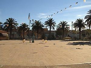 TELAGH JARDIN PUBLIC 01